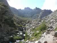Korsika Bild 121